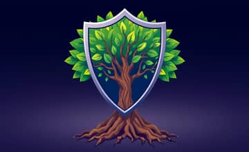 Gerenciamento de Risco: A Base para Investimentos Duradouros