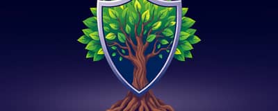 Gerenciamento de Risco: A Base para Investimentos Duradouros